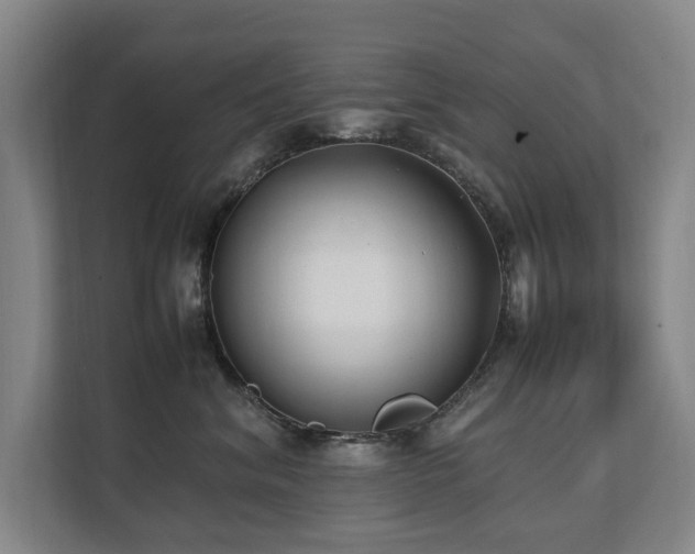 X0000112070620200908041235