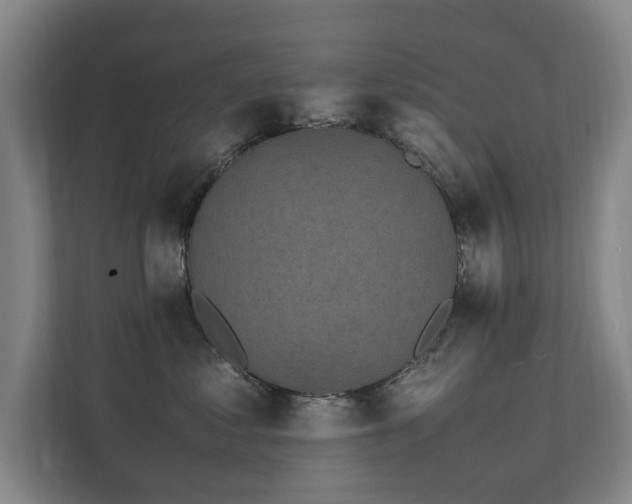 X0000112070621200908041235