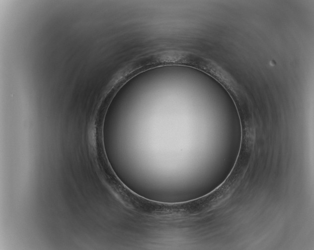 X0000112070626200908041234