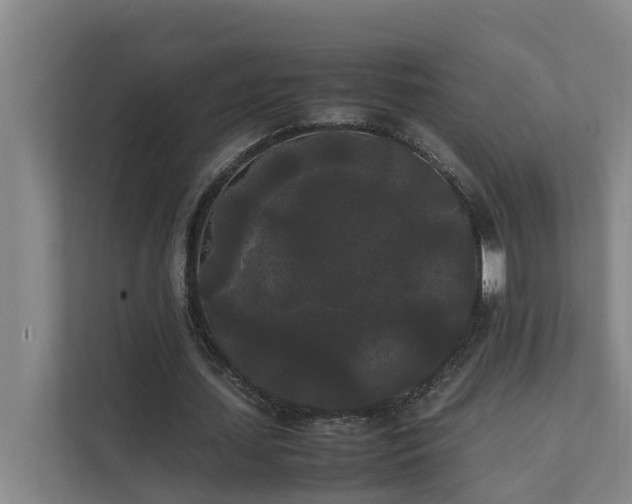 X0000112070627200908041234