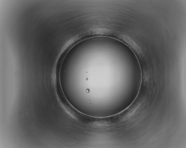 X0000112070630200908041234