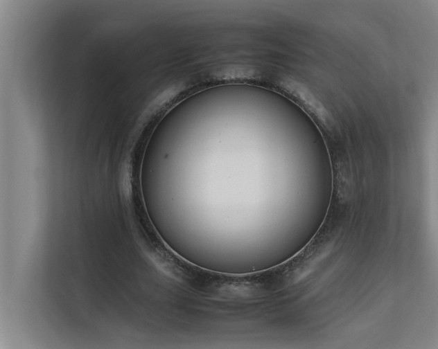 X0000112070631200908041234