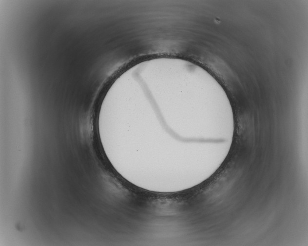 X0000112070632200908041234