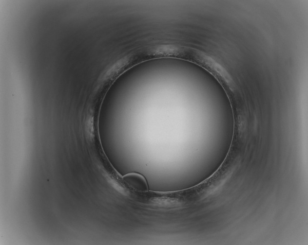 X0000112070633200908041234