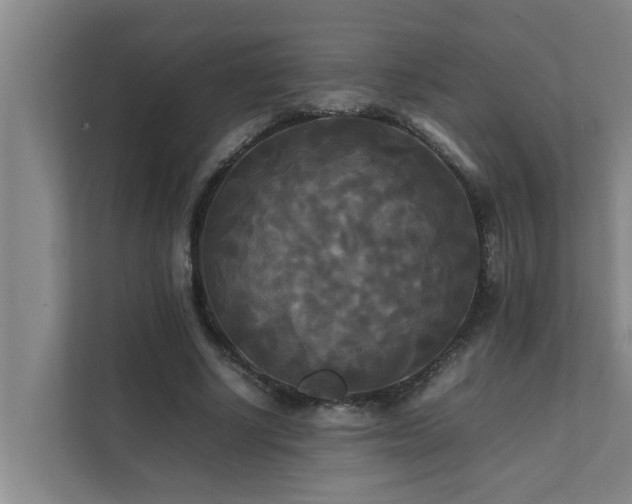 X0000112070634200908041235