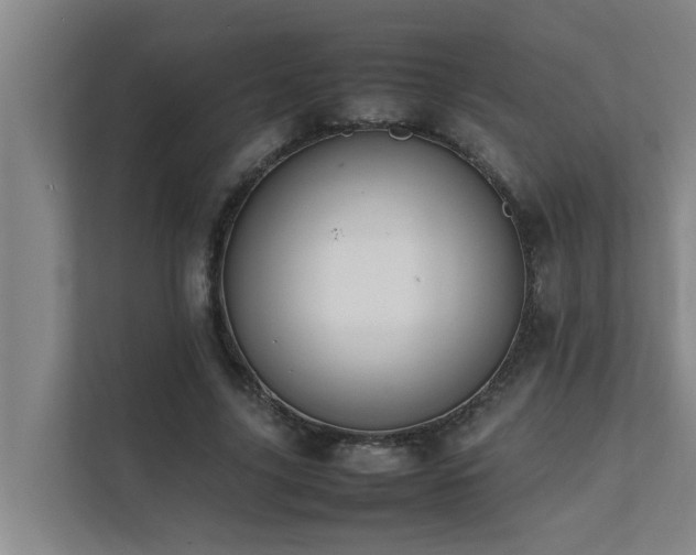 X0000112070635200908041235