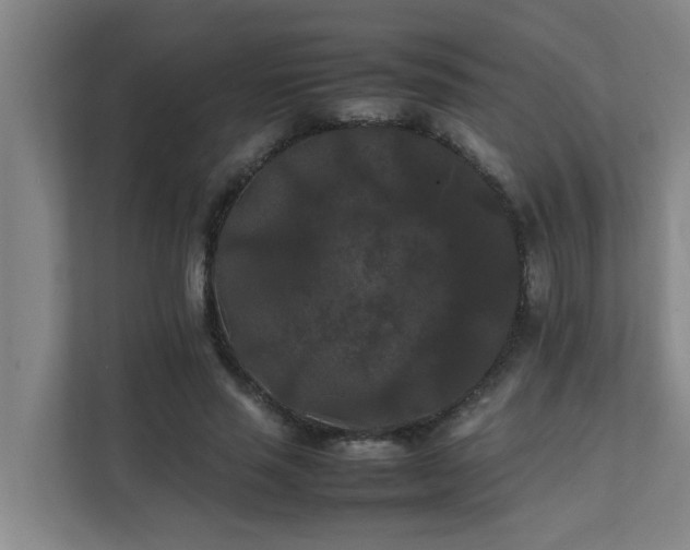 X0000112070637200908041235