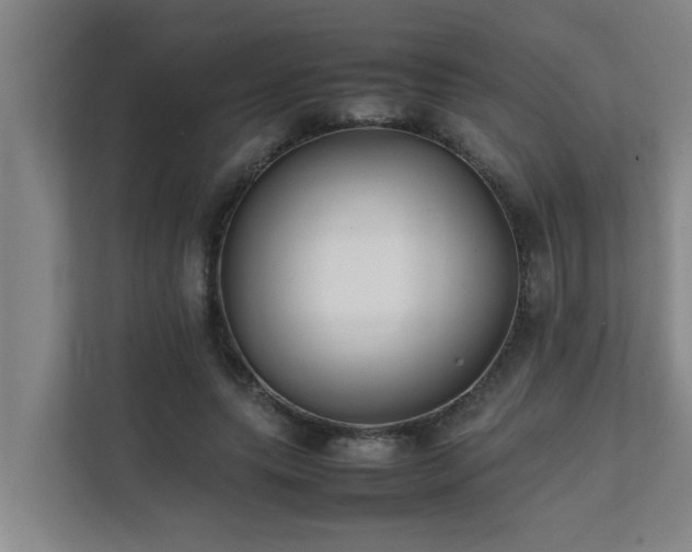 X0000112070639200908041235