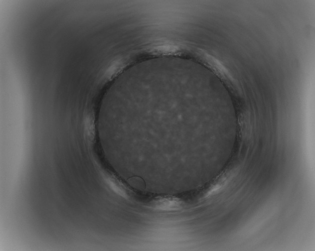 X0000112070642200908041235