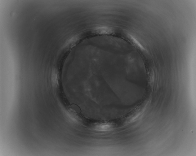 X0000112070643200908041235