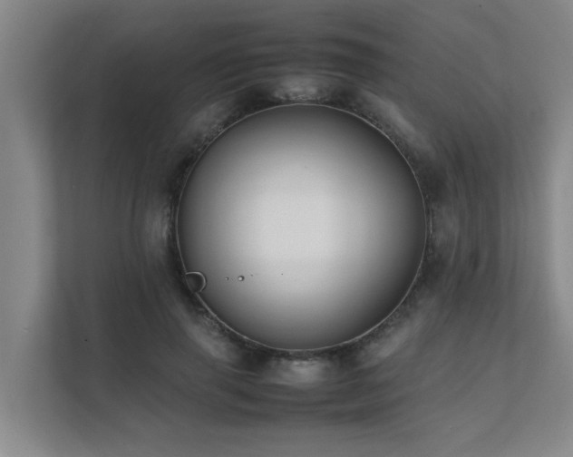 X0000112070645200908041235