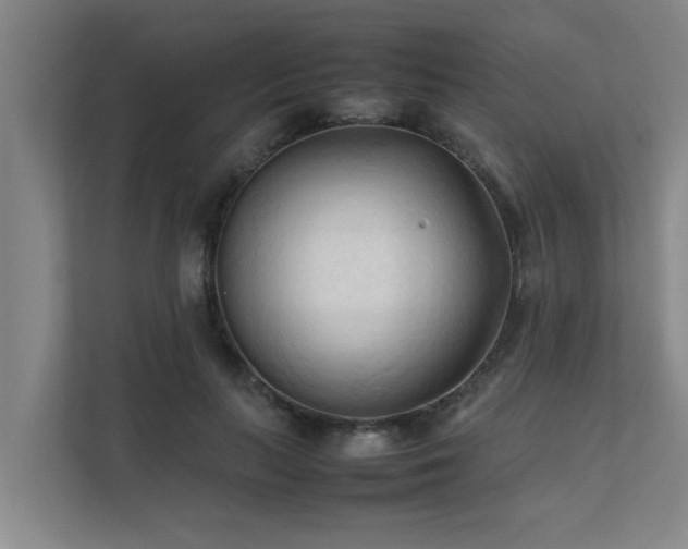 X0000112070647200908041235