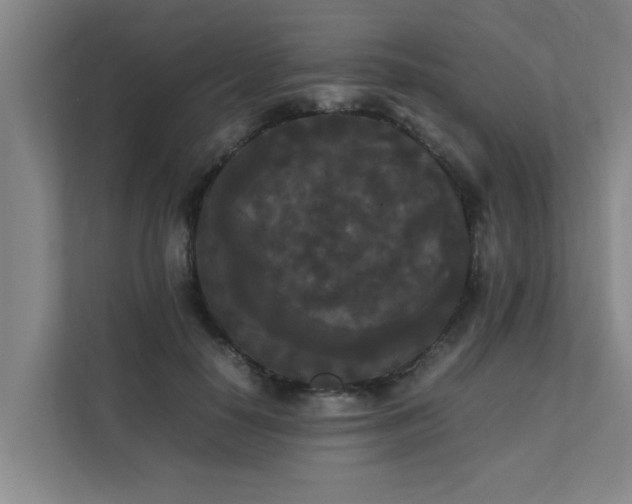 X0000112070650200908041235