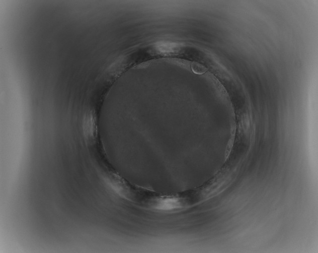 X0000112070651200908041235