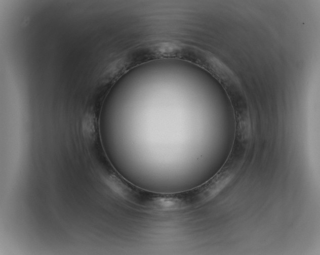 X0000112070654200908041235