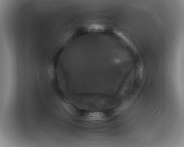 X0000112070659200908041235