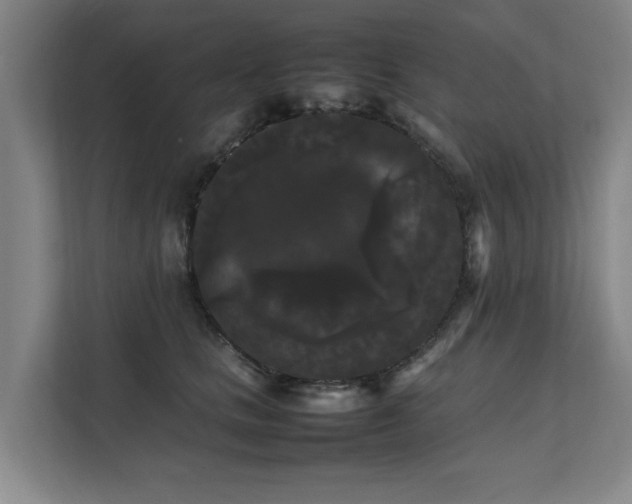 X0000112070661200908041235