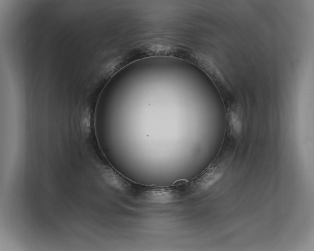 X0000112070668200908041235