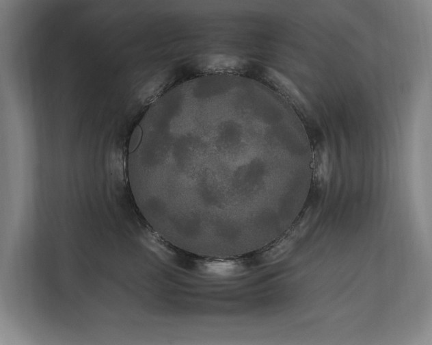 X0000112070669200908041235