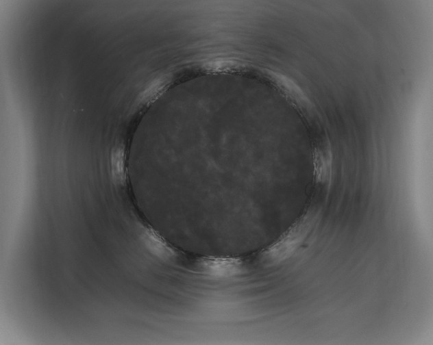 X0000112070670200908041235