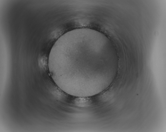 X0000112070672200908041235