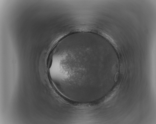 X0000112070673200908041234