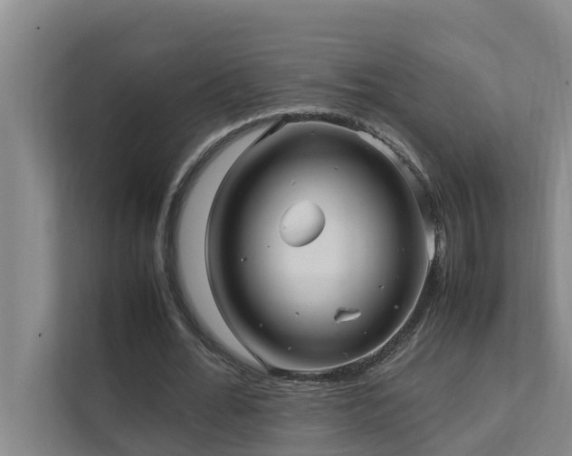 X0000112070676200908041234