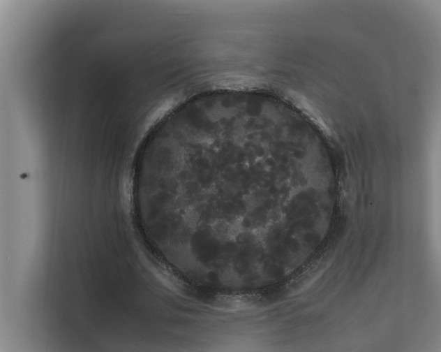 X0000112070679200908041234