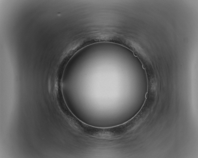 X0000112070685200908041234