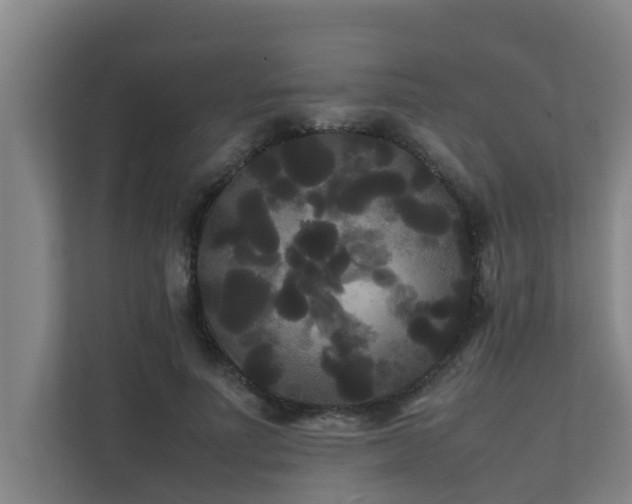 X0000112070691200908041234