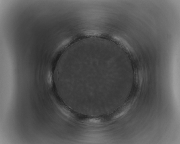 X0000112070692200908041234