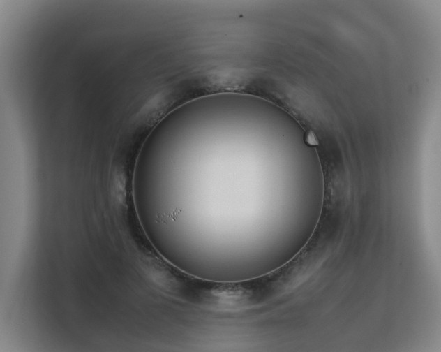 X0000112070693200908041234