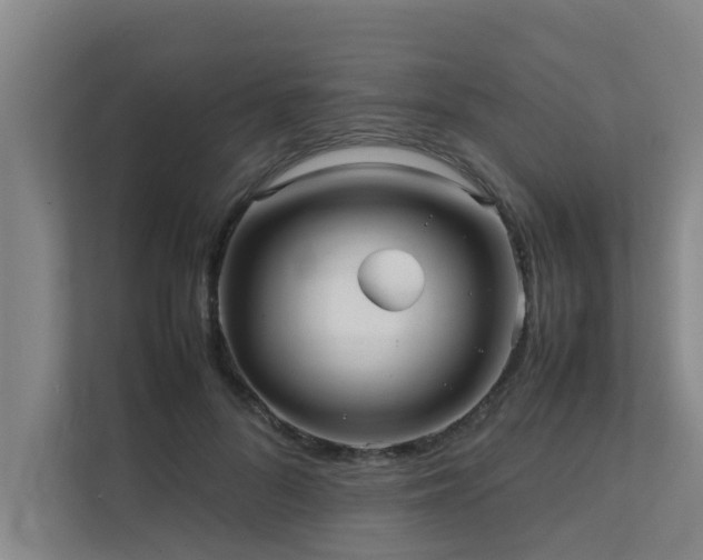 X0000112070696200908041234