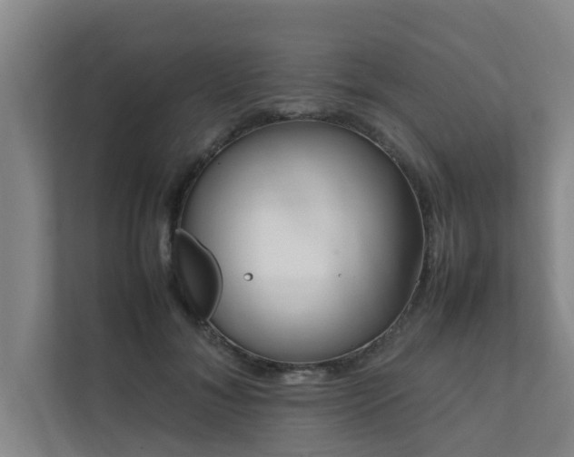 X0000112070700200908041234