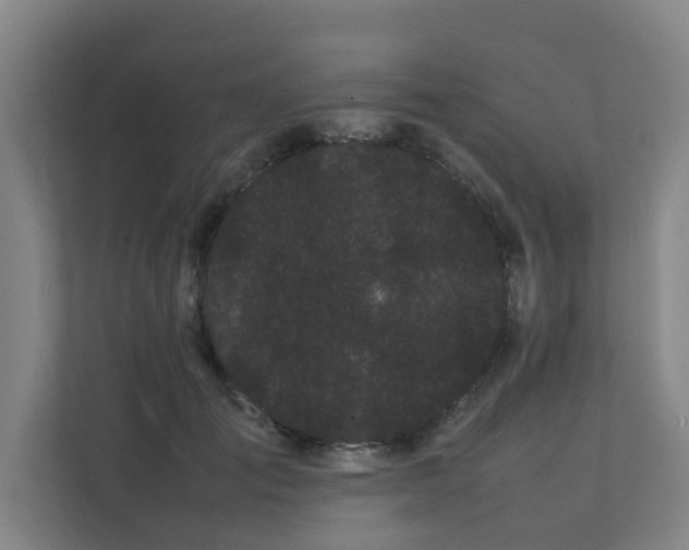 X0000112070701200908041234