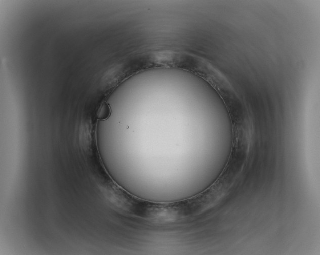 X0000112070702200908041234