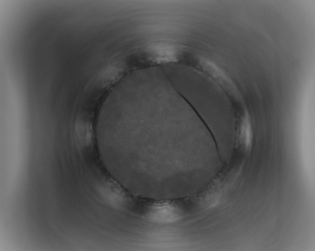 X0000112070704200908041234