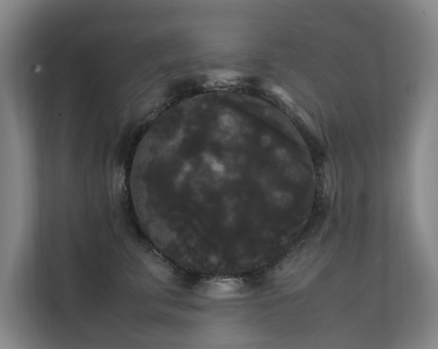 X0000112070711200908041234