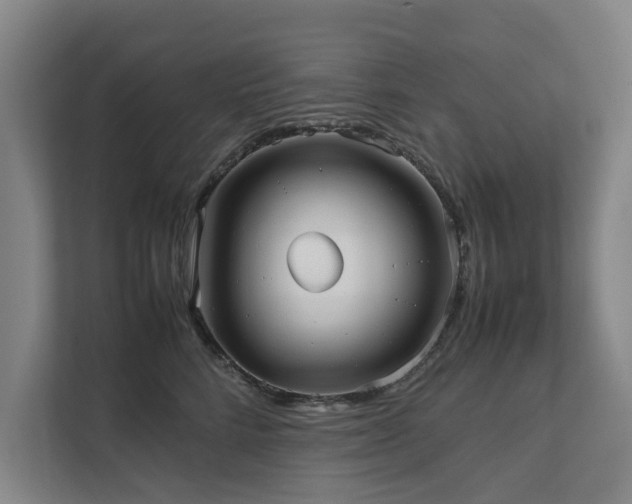 X0000112070712200908041234