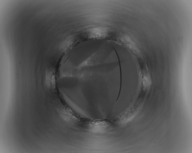 X0000112070716200908041234