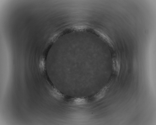 X0000112070718200908041234