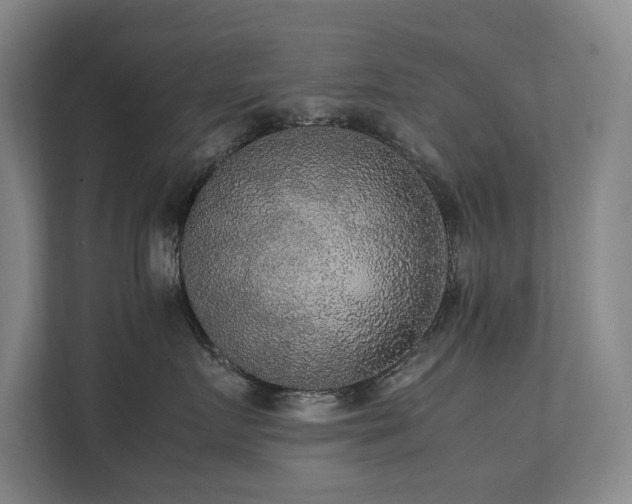 X0000112070719200908041234