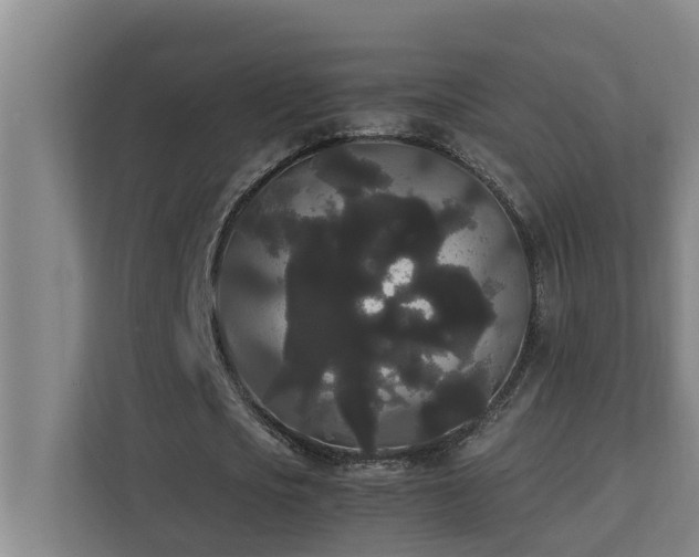 X0000112070721200908041233