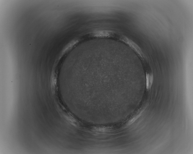 X0000112070723200908041233
