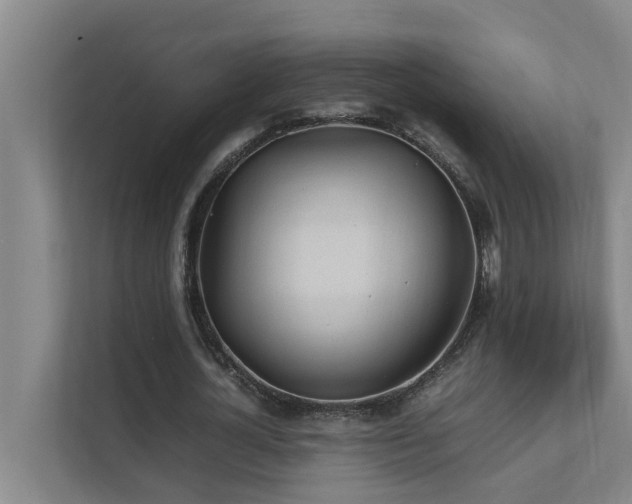 X0000112070724200908041233