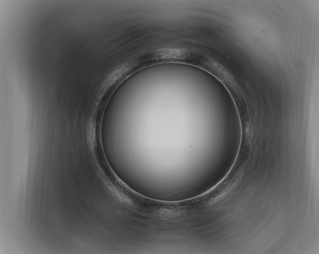 X0000112070725200908041233