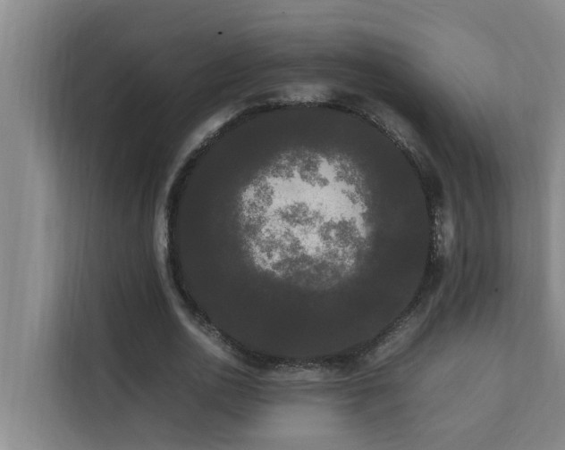 X0000112070726200908041233