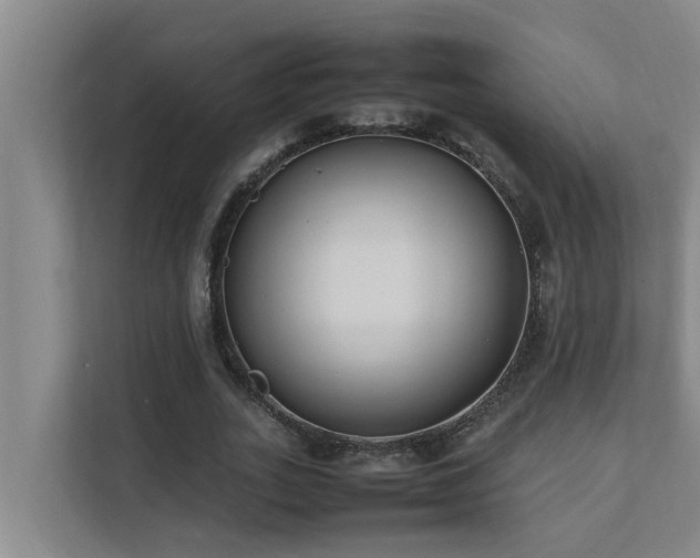 X0000112070727200908041233