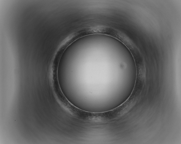 X0000112070730200908041233