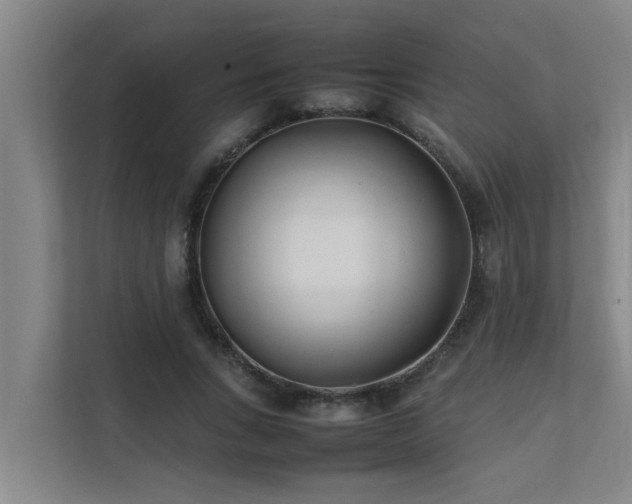 X0000112070735200908041233